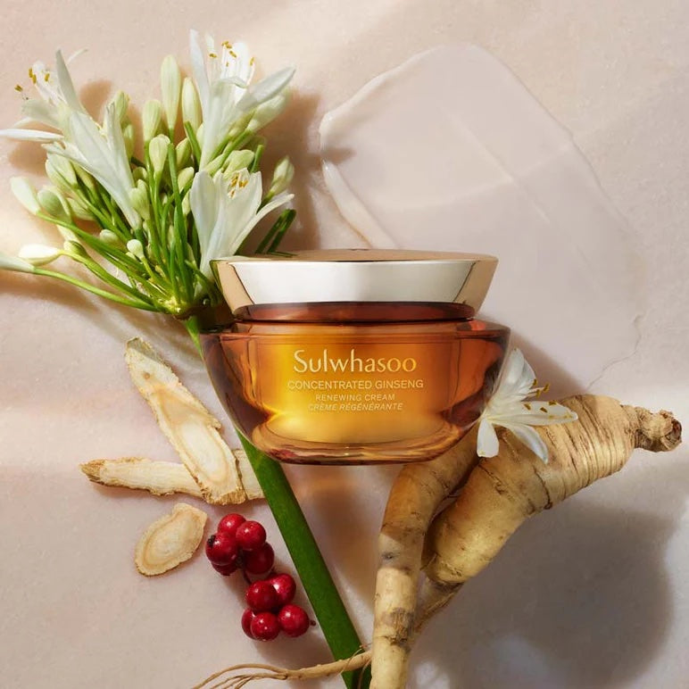 Sulwhasoo Concentrated Ginseng Renewing Cream 60ml - Sincerely Skin